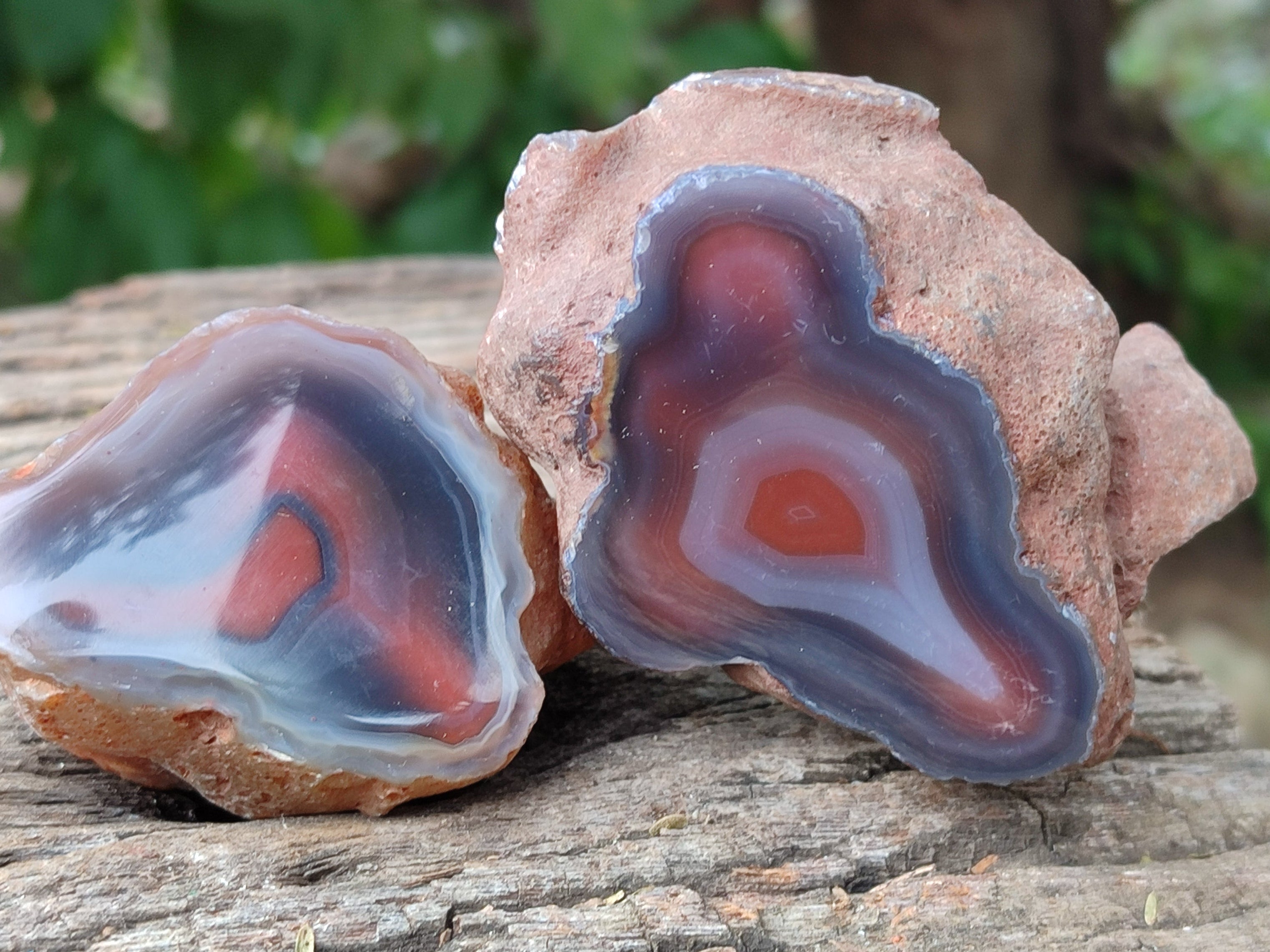 Polished On One Side Red Sashe River Agate Nodules x 24 From Zimbabwe - Toprock Gemstones and Minerals 
