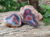 Polished On One Side Red Sashe River Agate Nodules x 24 From Zimbabwe - Toprock Gemstones and Minerals 