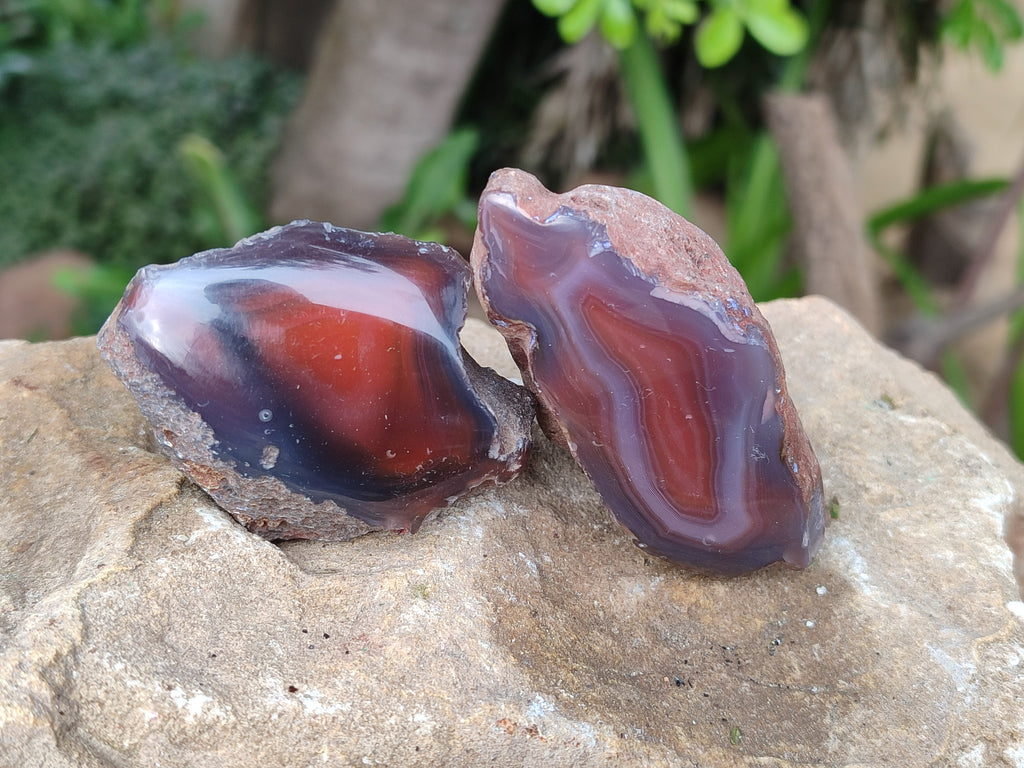 Polished On One Side Red Sashe River Agate Nodules x 24 From Zimbabwe - Toprock Gemstones and Minerals 