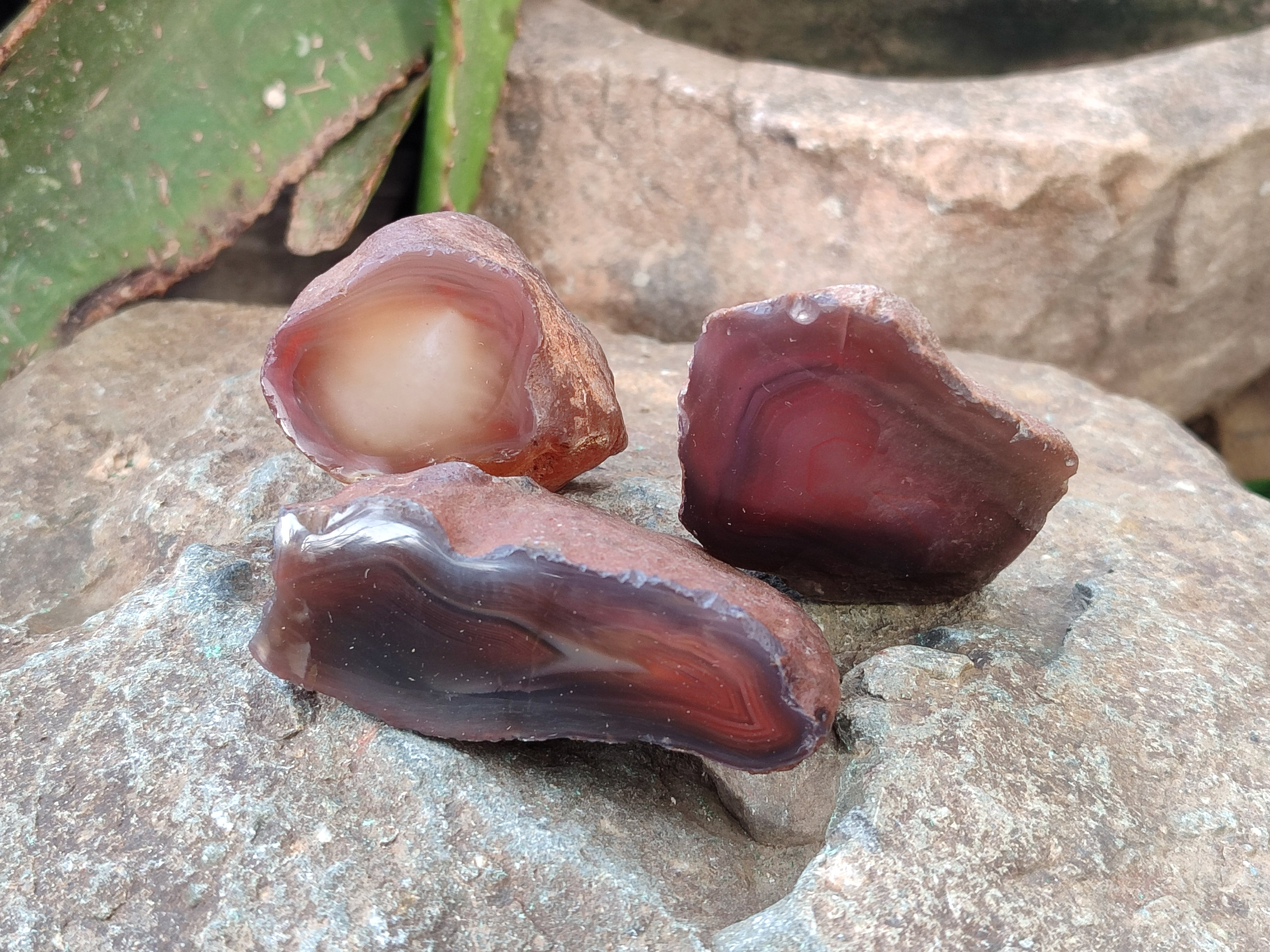Polished On One Side Red Sashe River Agate Nodules x 24 From Zimbabwe - Toprock Gemstones and Minerals 