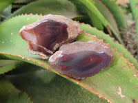 Polished On One Side Red Sashe River Agate Nodules x 24 From Zimbabwe - Toprock Gemstones and Minerals 
