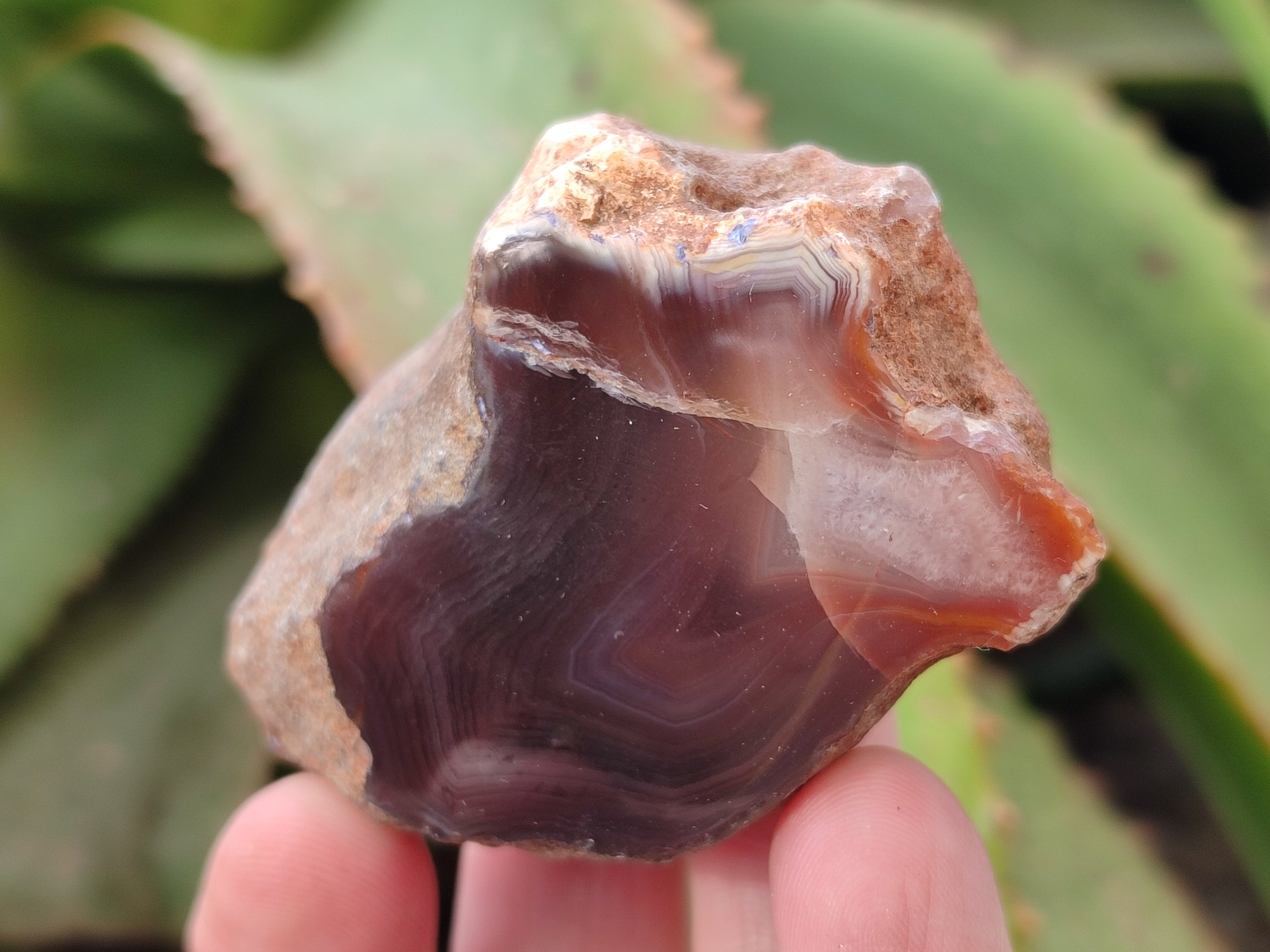 Polished On One Side Red Sashe River Agate Nodules x 24 From Zimbabwe - Toprock Gemstones and Minerals 