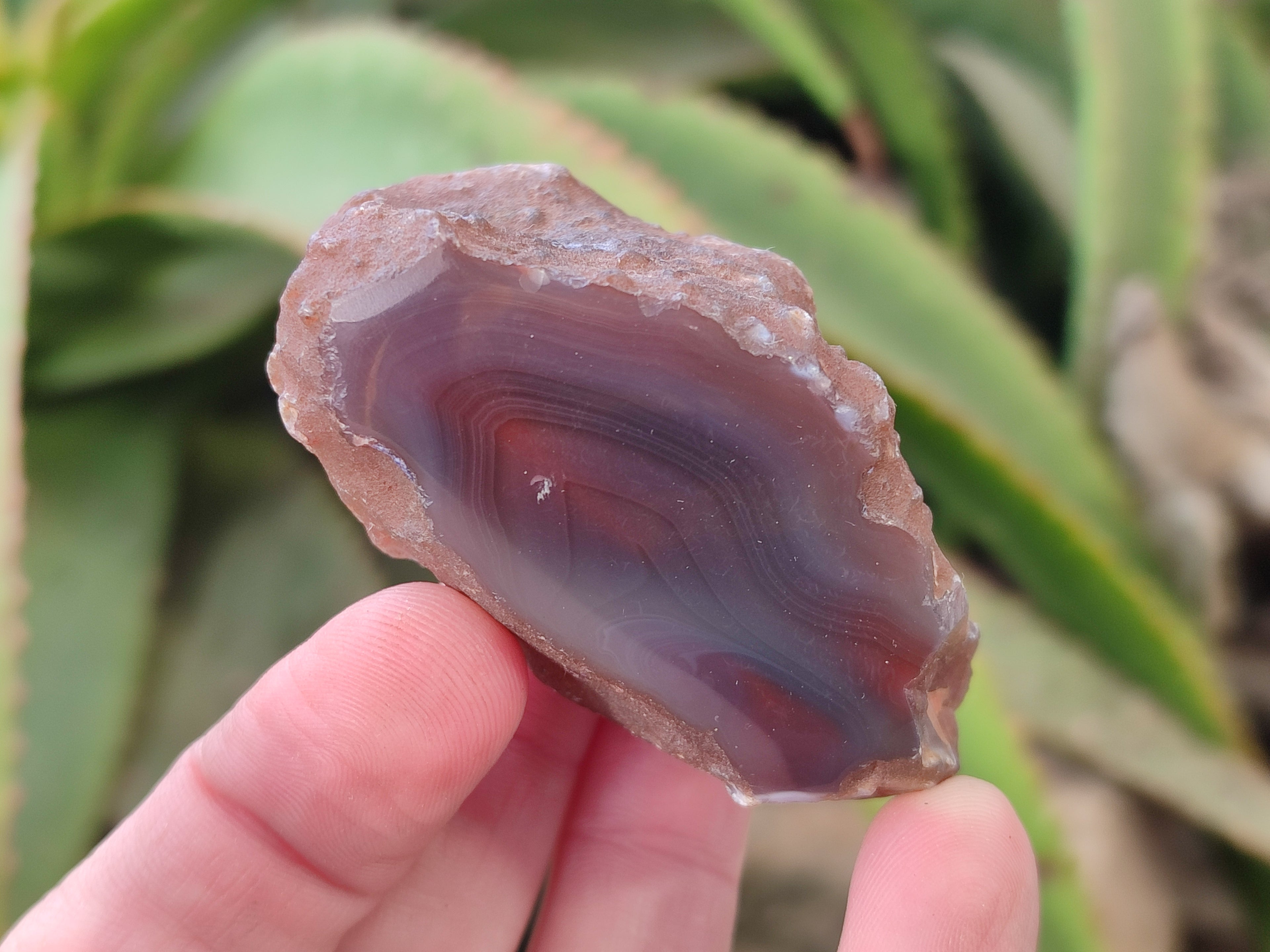Polished On One Side Red Sashe River Agate Nodules x 24 From Zimbabwe - Toprock Gemstones and Minerals 