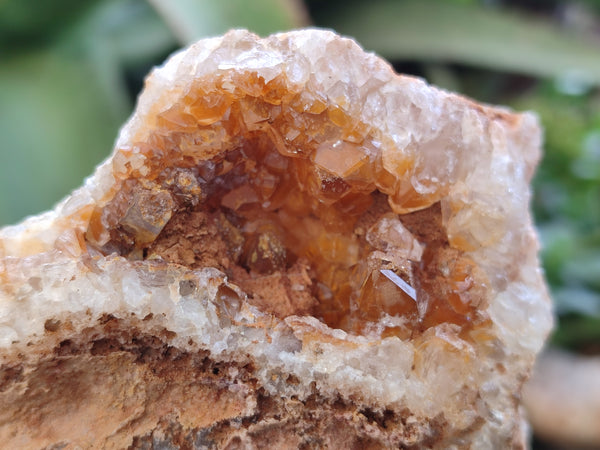 Natural Limonite Quartz Geodes x 6 From Solwezi, Zambia