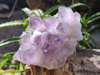 Natural Jacaranda Amethyst Quartz Geodes x 3 From Mumbwa, Zambia