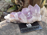 Natural Jacaranda Amethyst Quartz Geodes x 3 From Mumbwa, Zambia