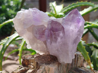 Natural Jacaranda Amethyst Quartz Geodes x 3 From Mumbwa, Zambia