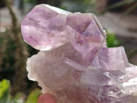 Natural Jacaranda Amethyst Quartz Geodes x 3 From Mumbwa, Zambia