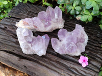 Natural Jacaranda Amethyst Quartz Geodes x 3 From Mumbwa, Zambia