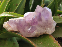 Natural Jacaranda Amethyst Quartz Geodes x 3 From Mumbwa, Zambia