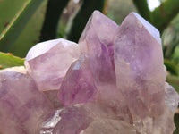 Natural Jacaranda Amethyst Quartz Geodes x 3 From Mumbwa, Zambia