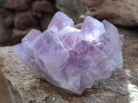 Natural Jacaranda Amethyst Quartz Geodes x 3 From Mumbwa, Zambia