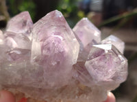 Natural Jacaranda Amethyst Quartz Geodes x 3 From Mumbwa, Zambia