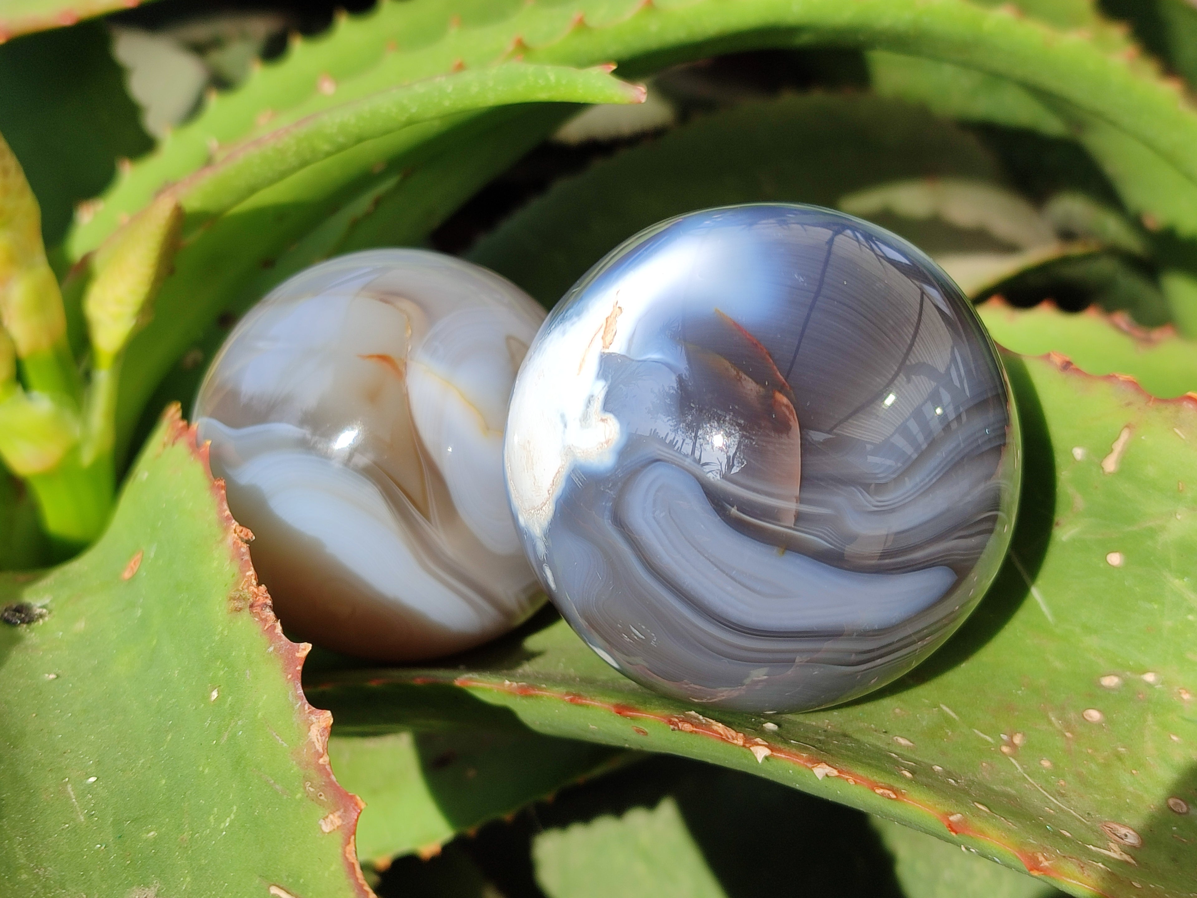 Polished Banded Agate Spheres x 4 From Madagascar - Toprock Gemstones and Minerals 