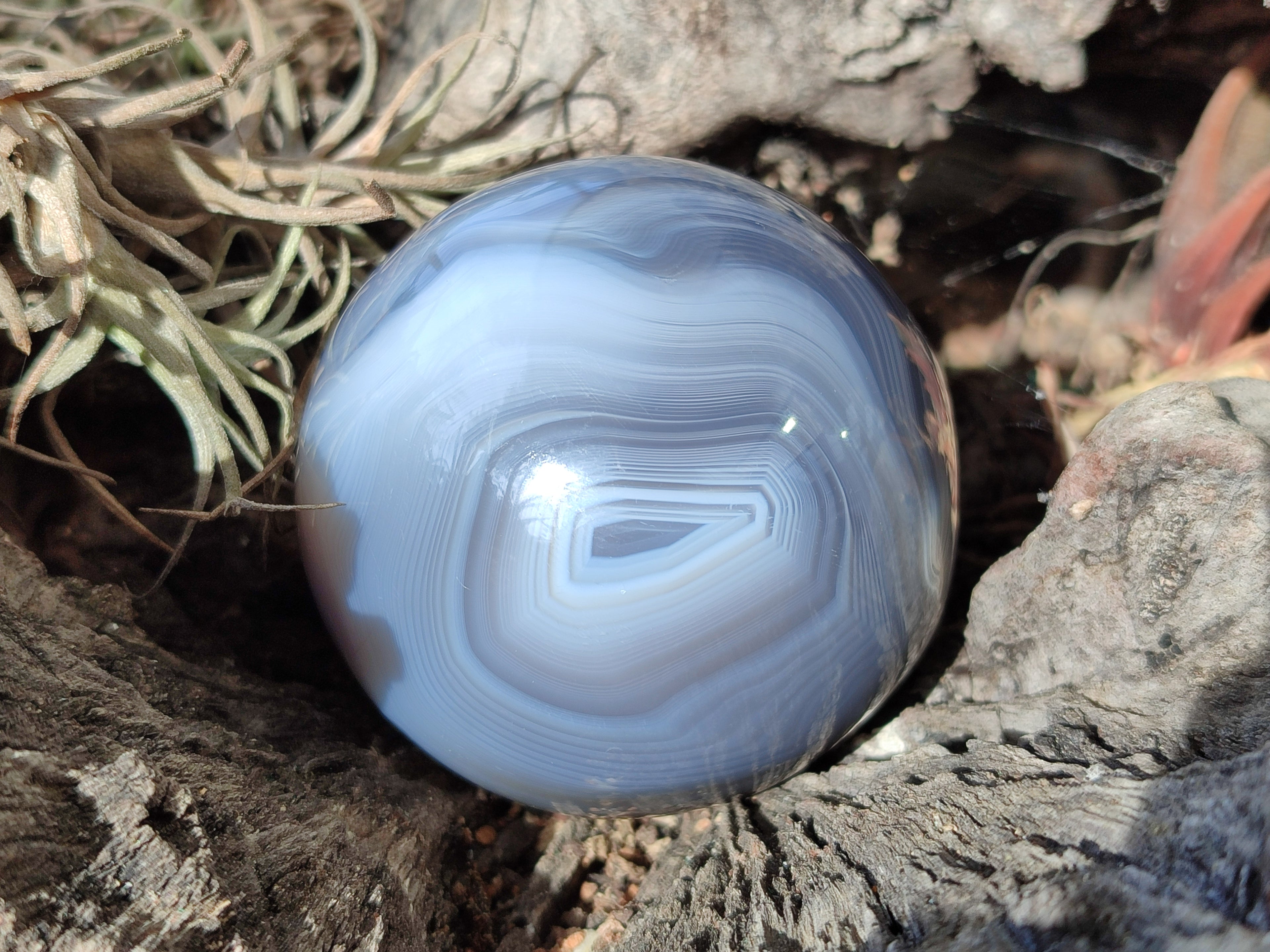 Polished Banded Agate Spheres x 4 From Madagascar - Toprock Gemstones and Minerals 