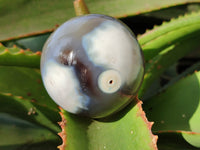 Polished Banded Agate Spheres x 4 From Madagascar
