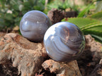 Polished Banded Agate Spheres x 4 From Madagascar - Toprock Gemstones and Minerals 