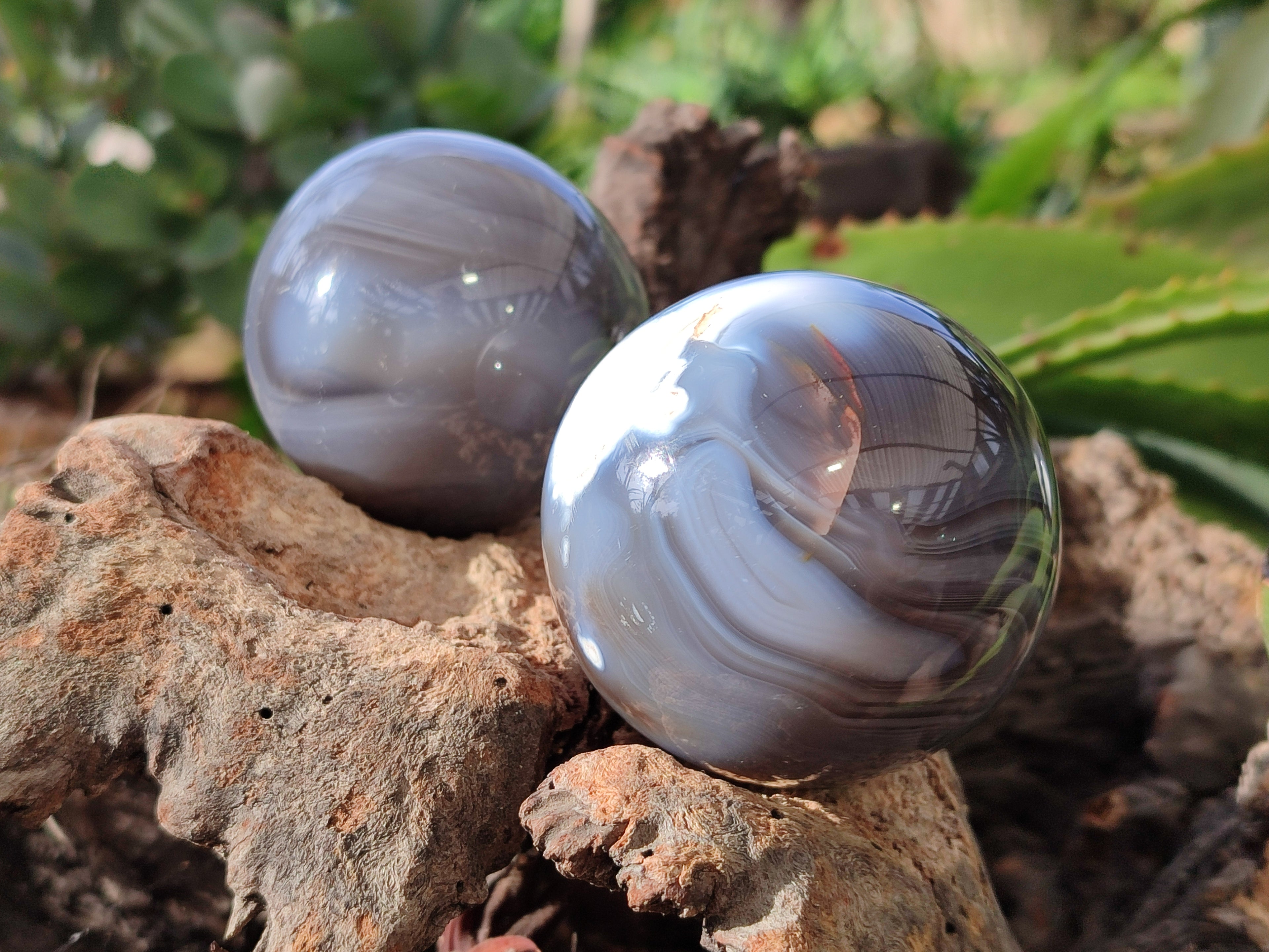 Polished Banded Agate Spheres x 4 From Madagascar - Toprock Gemstones and Minerals 