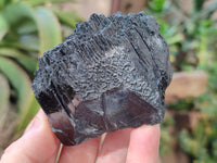 Natural Schorl Black Tourmaline with Hyalite Opal and one with Aquamarine Beryl x 6 From Erongo, Namibia