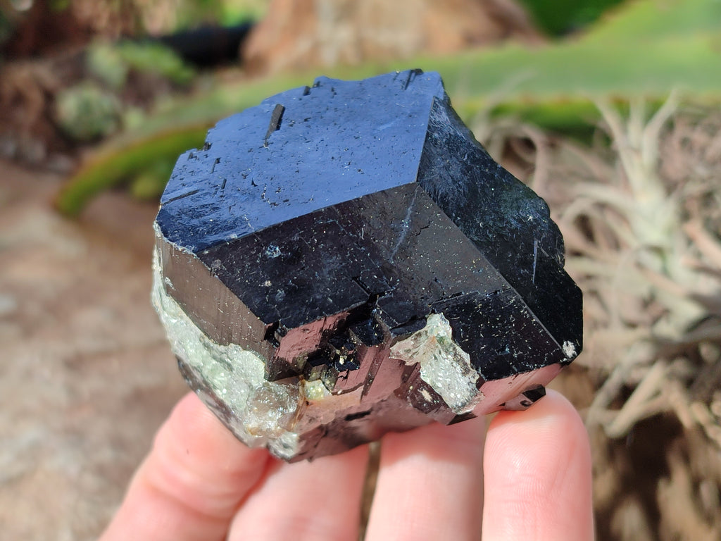 Natural Schorl Black Tourmaline with Hyalite Opal and one with Aquamarine Beryl x 6 From Erongo, Namibia - Toprock Gemstones and Minerals 