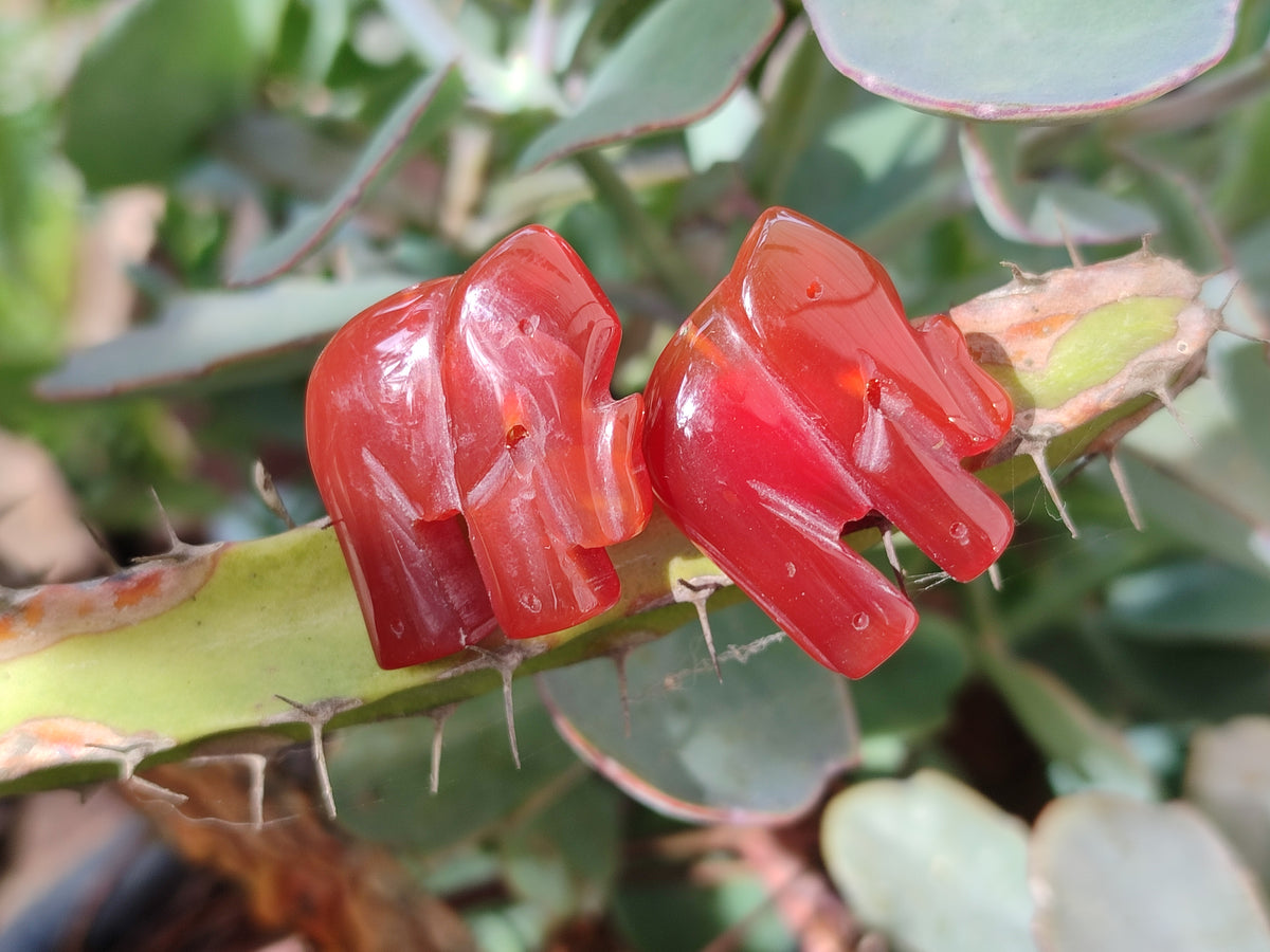 Polished Carnelian Agate Elephant Fridge Magnets - Sold per Set of 10 - From China - Toprock Gemstones and Minerals 