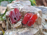 Polished Carnelian Agate Elephant Fridge Magnets - Sold per Set of 10 - From China