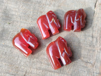 Polished Carnelian Agate Elephant Fridge Magnets - Sold per Set of 10 - From China