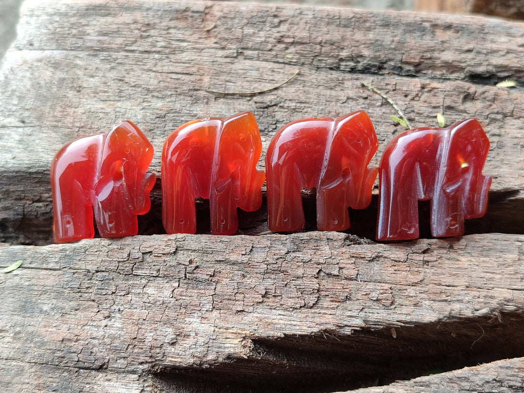 Polished Carnelian Agate Elephant Fridge Magnets - Sold per Set of 10 - From China - Toprock Gemstones and Minerals 