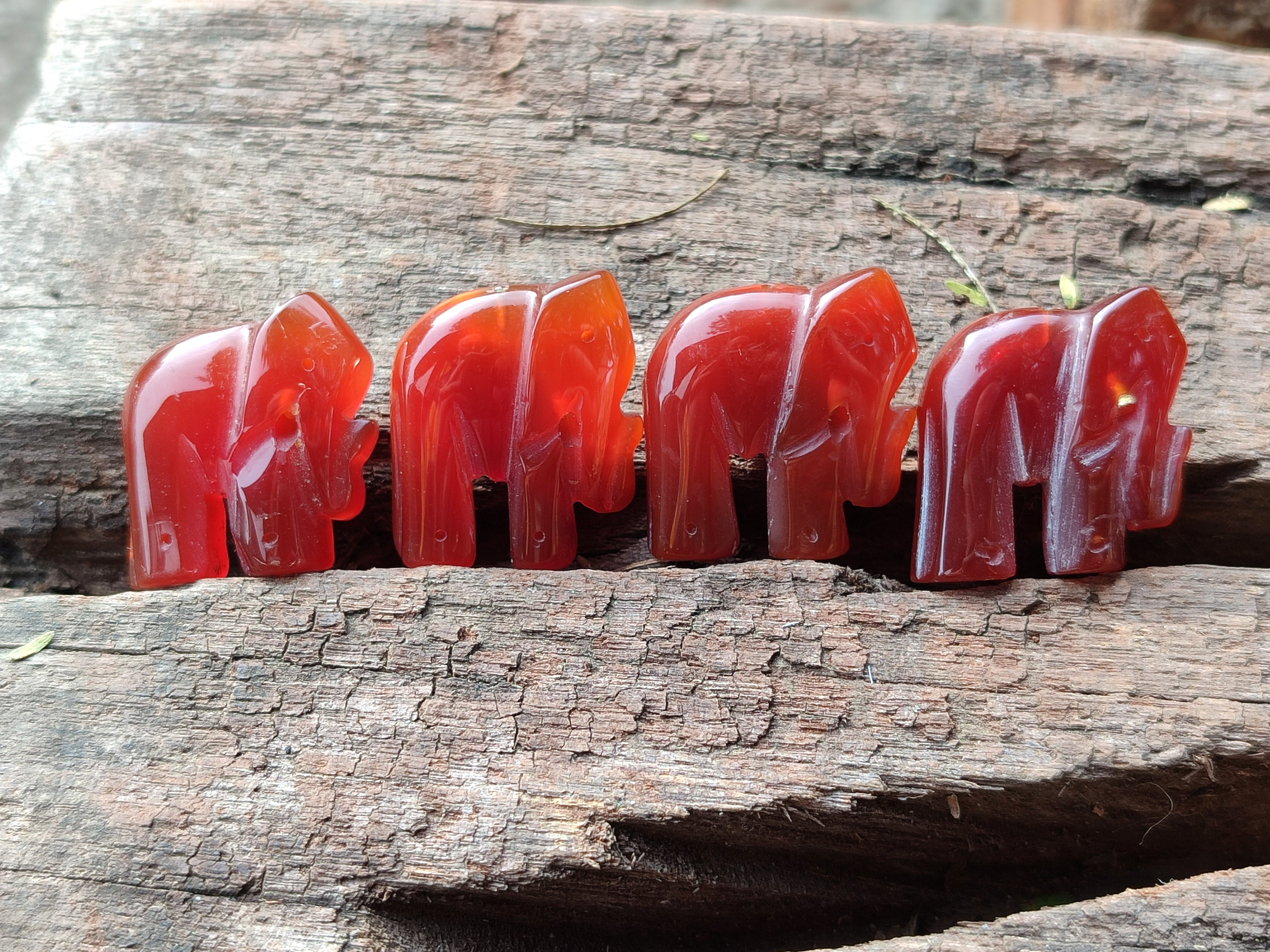 Polished Carnelian Agate Elephant Fridge Magnets - Sold per Set of 10 - From China - Toprock Gemstones and Minerals 