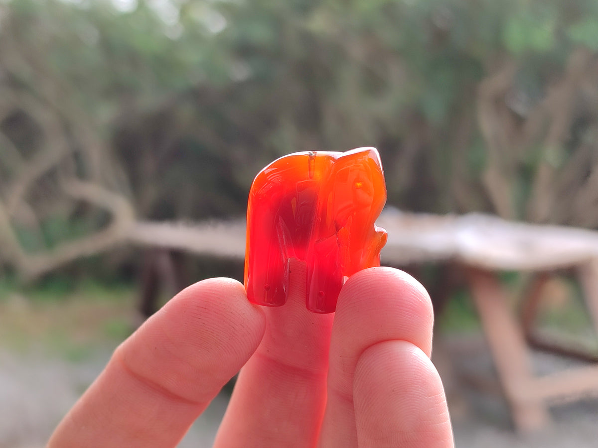 Polished Carnelian Agate Elephant Fridge Magnets - Sold per Set of 10 - From China - Toprock Gemstones and Minerals 