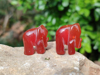 Polished Carnelian Agate Elephant Fridge Magnets - Sold per Set of 10 - From China