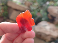 Polished Carnelian Agate Elephant Fridge Magnets - Sold per Set of 10 - From China