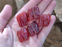Polished Carnelian Agate Elephant Fridge Magnets - Sold per Set of 10 - From China