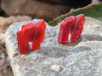 Polished Carnelian Agate Elephant Fridge Magnets - Sold per Set of 10 - From China