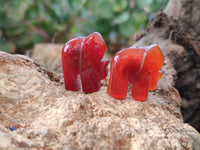 Polished Carnelian Agate Elephant Fridge Magnets - Sold per Set of 10 - From China
