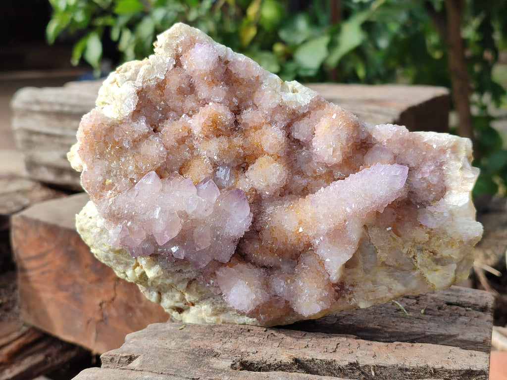 Natural Amethyst Spirit Quartz Clusters x 2 From Boekenhouthoek, South Africa - Toprock Gemstones and Minerals 
