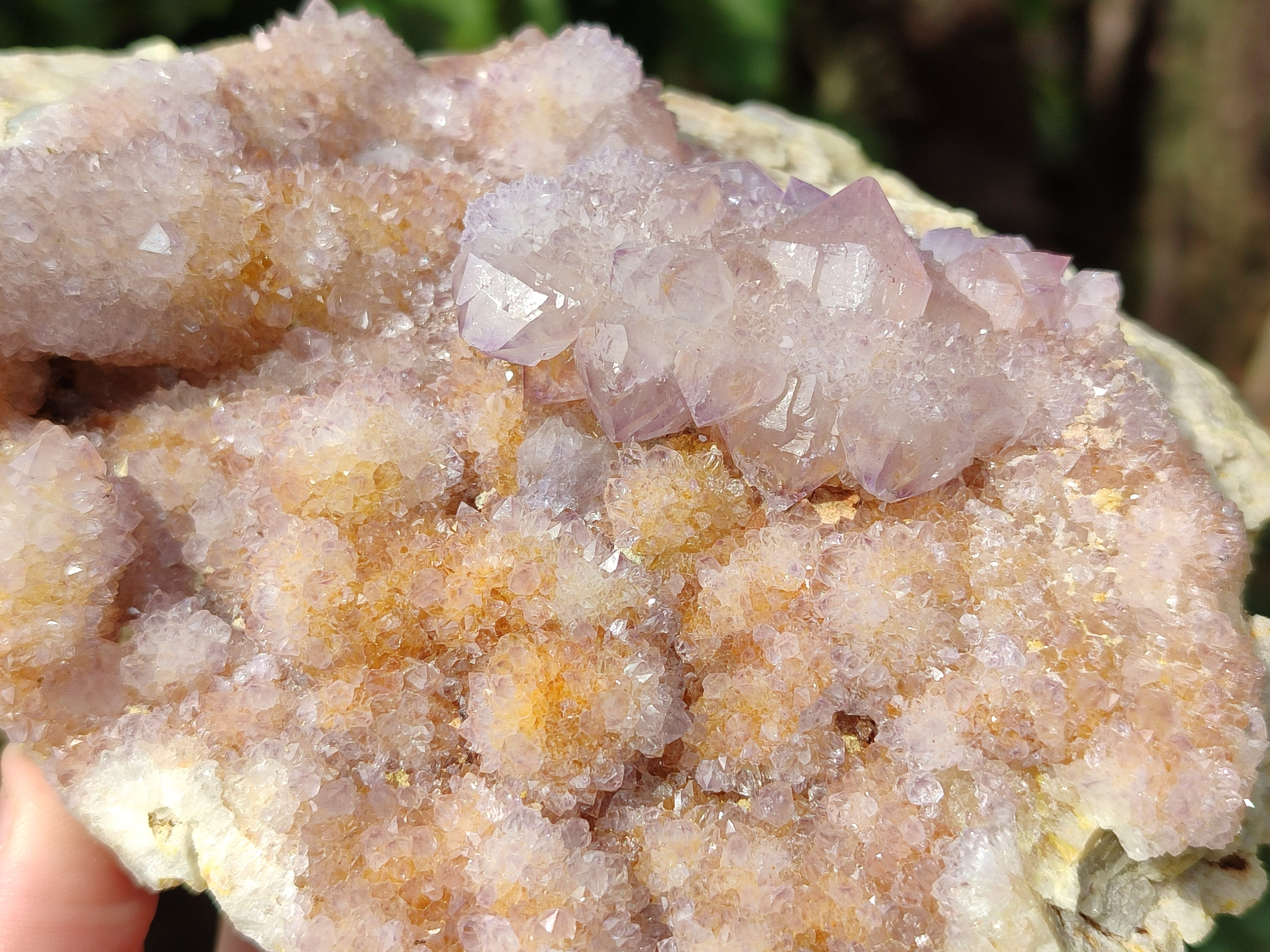 Natural Amethyst Spirit Quartz Clusters x 2 From Boekenhouthoek, South Africa - Toprock Gemstones and Minerals 