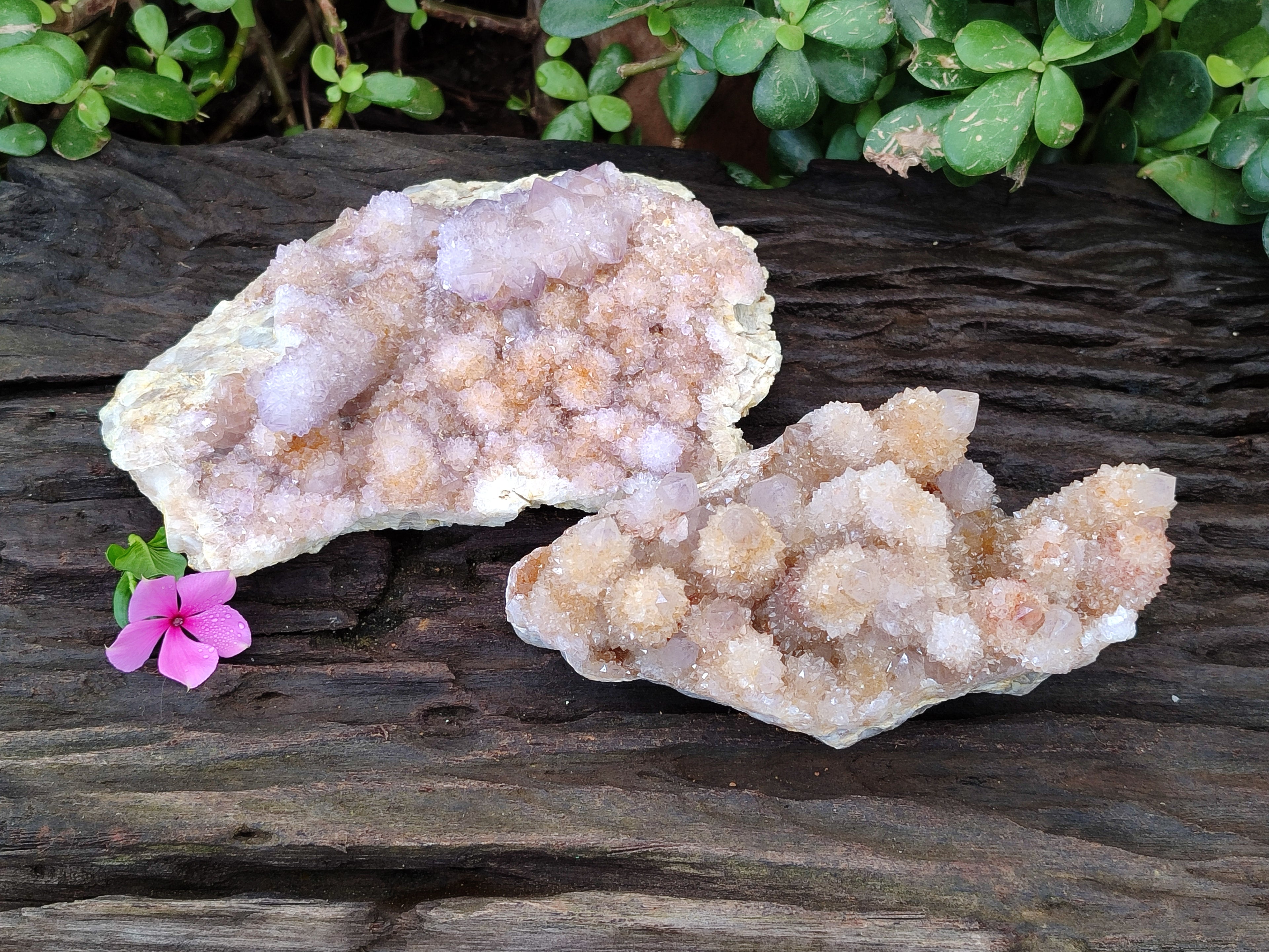 Natural Amethyst Spirit Quartz Clusters x 2 From Boekenhouthoek, South Africa - Toprock Gemstones and Minerals 