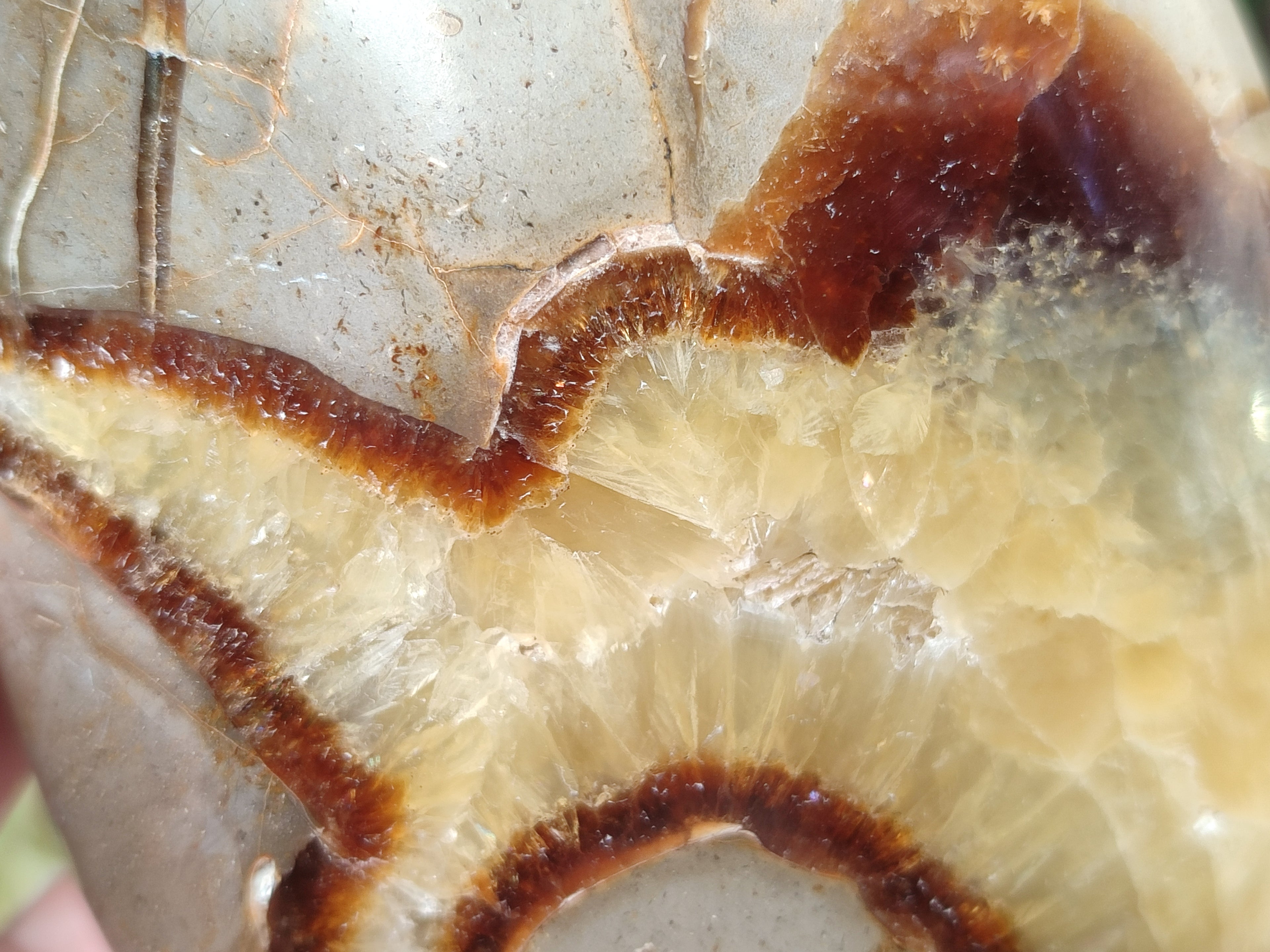 Polished Septerye Standing Free Forms x 3 From Mahajanga, Madagascar - Toprock Gemstones and Minerals 