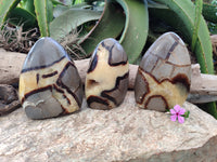 Polished Septerye Standing Free Forms x 3 From Mahajanga, Madagascar