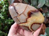 Polished Septerye Standing Free Forms x 3 From Mahajanga, Madagascar
