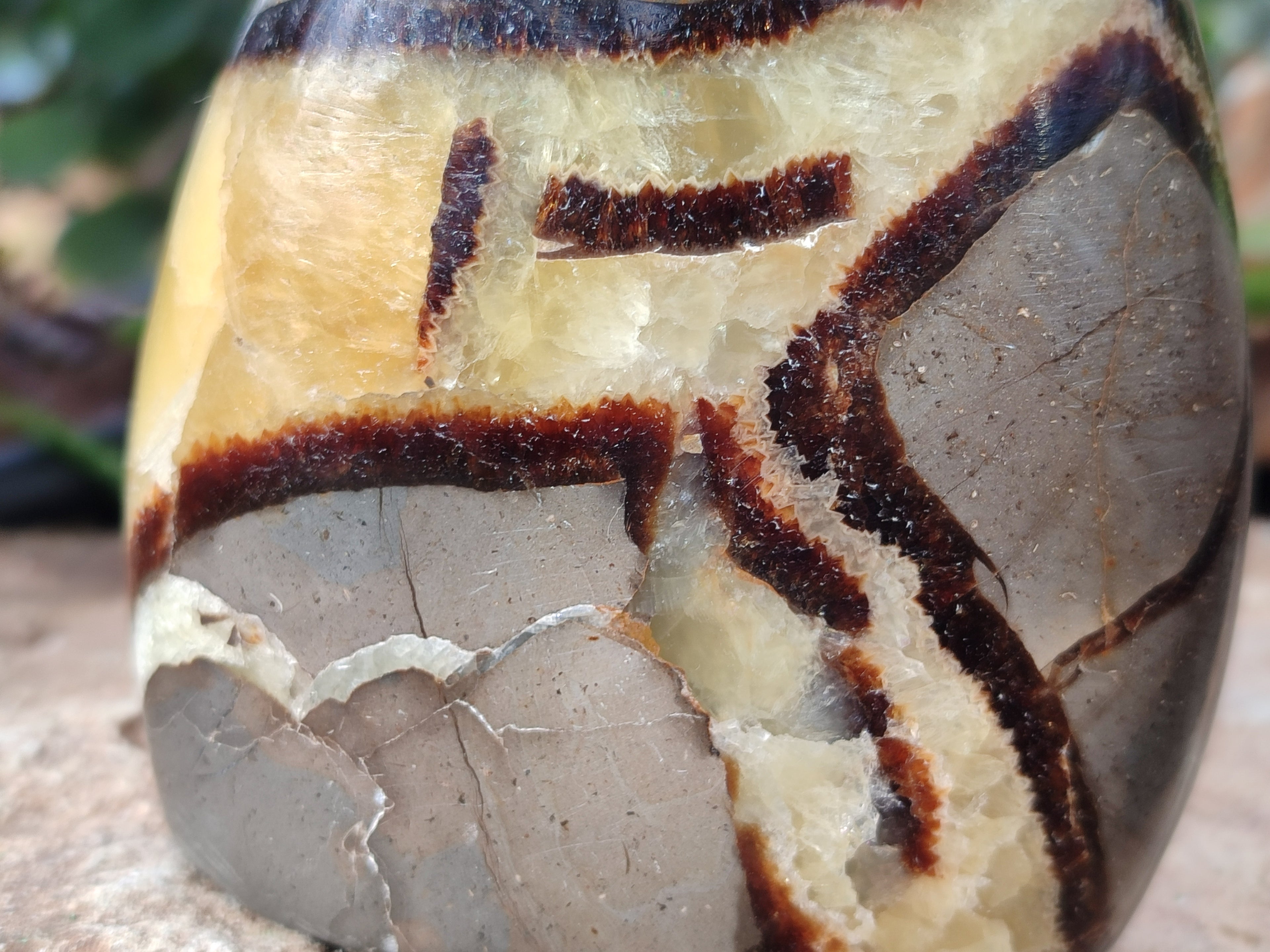 Polished Septerye Standing Free Forms x 3 From Mahajanga, Madagascar - Toprock Gemstones and Minerals 