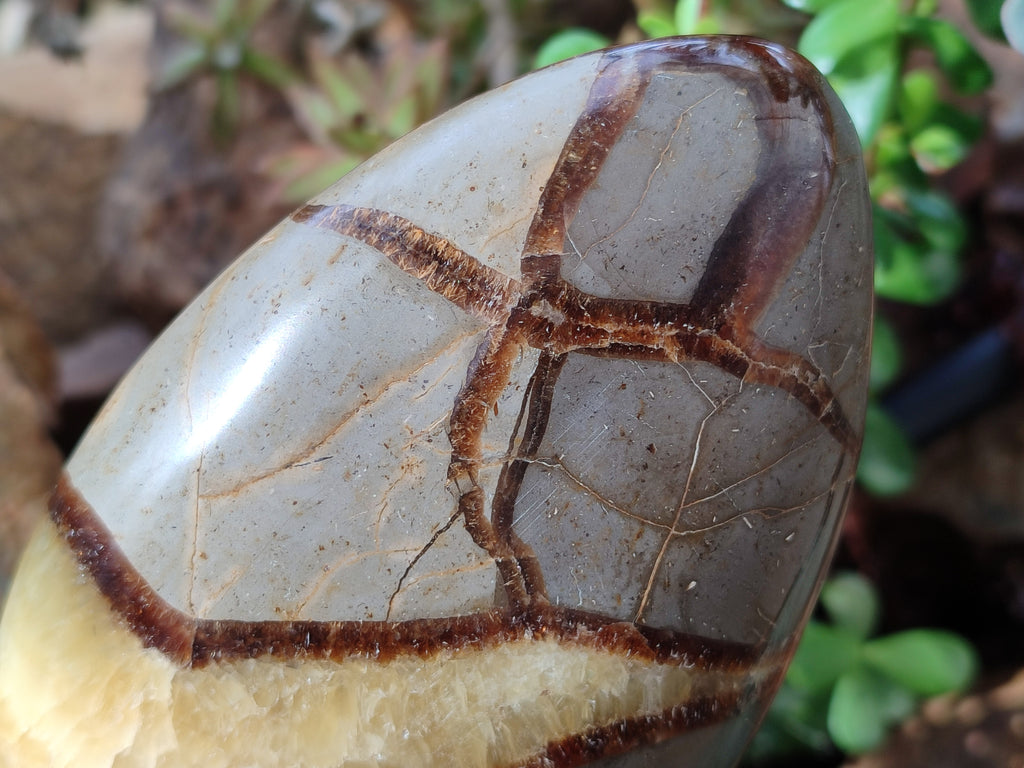Polished Septerye Standing Free Forms x 3 From Mahajanga, Madagascar - Toprock Gemstones and Minerals 