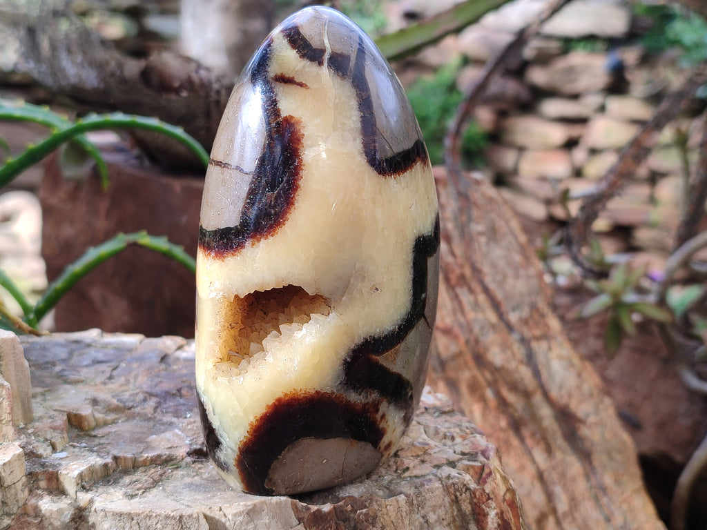 Polished Septerye Standing Free Forms x 3 From Mahajanga, Madagascar - Toprock Gemstones and Minerals 