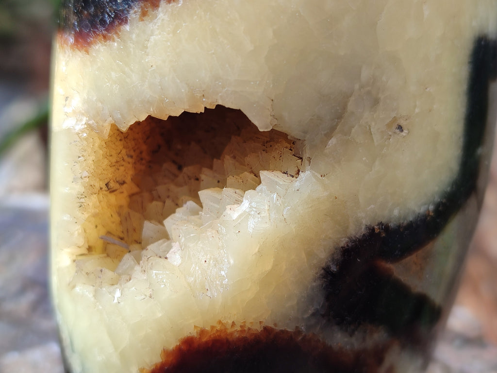 Polished Septerye Standing Free Forms x 3 From Mahajanga, Madagascar - Toprock Gemstones and Minerals 