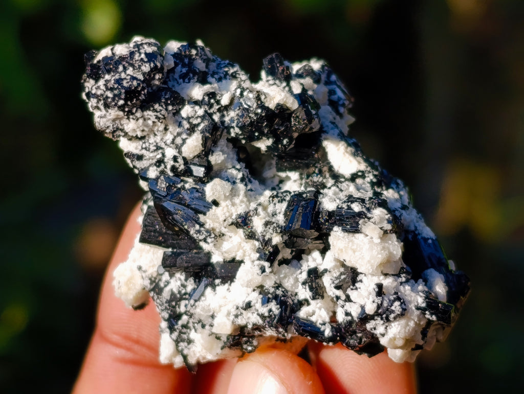 Natural Schorl Black Tourmaline with Hyalite Opal x 20 From Erongo, Namibia - Toprock Gemstones and Minerals 