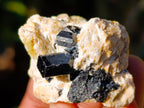 Natural Schorl Black Tourmaline with Hyalite Opal x 20 From Erongo, Namibia - Toprock Gemstones and Minerals 