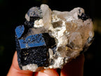 Natural Schorl Black Tourmaline with Hyalite Opal x 20 From Erongo, Namibia - Toprock Gemstones and Minerals 