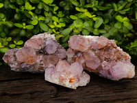 Natural Cactus Flower Smokey Amethyst Spirit Clusters x 3 From South Africa