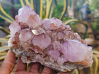 Natural Cactus Flower Smokey Amethyst Spirit Clusters x 3 From South Africa - Toprock Gemstones and Minerals 